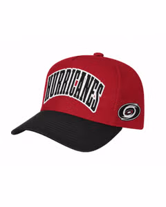 Adidas S26 SUPERFAN Hurricanes Youth Naģene