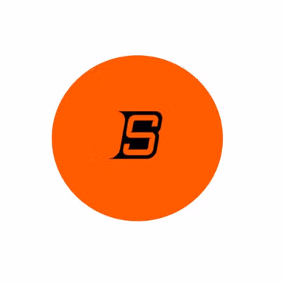 Blue Sports Warm Weather Мяч